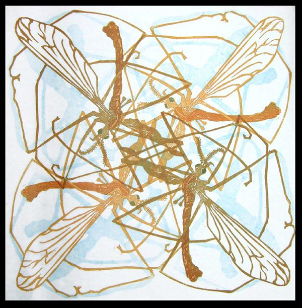 April Voller, Crane Fly, 2005