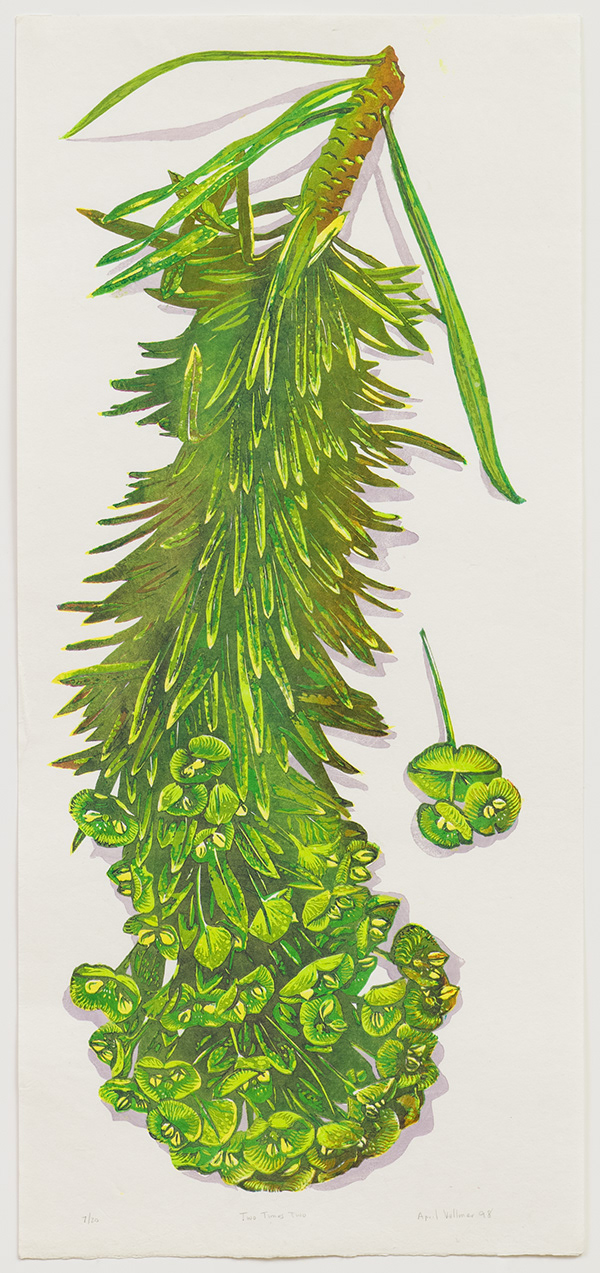 April Vollmer 3   Two Times Two 1998 17 x 37” mokuhanga