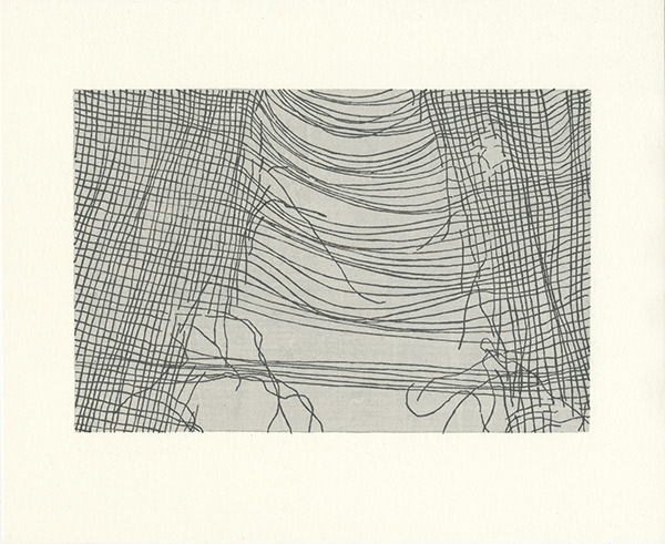 Yoonmi Nam, Mesh, 13" x 10.5", 2012, mokuhanga