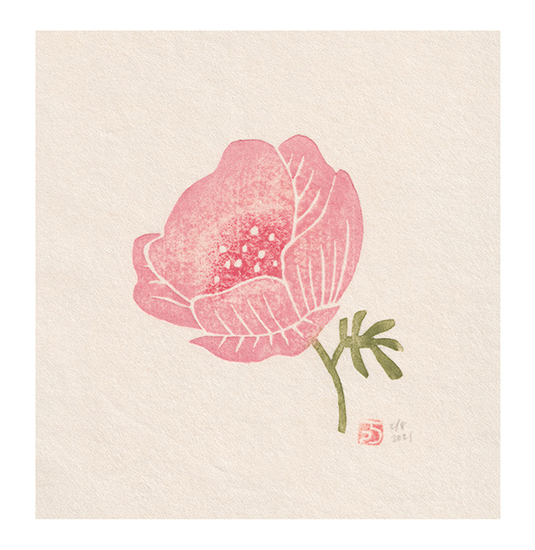 Mariko Jesse X  Pink anemone 2021 11.5" x 14" Mokuhanga