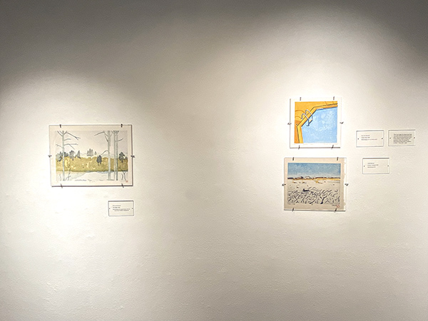 Marcia  Guetschow, The Glade; Sarah Ann Mitchell, Dream Pool; Linda Beeman, Erosion: Cracked