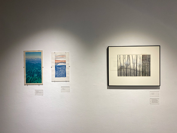 Cameron Bailey, The Dream; Trish Yates, Bird's eye view; Jacqueline Gribbin, Hot Burn I