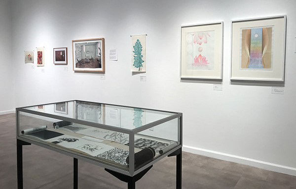 Wood Paper Ink, Richard F Brush Gallery, Installation View