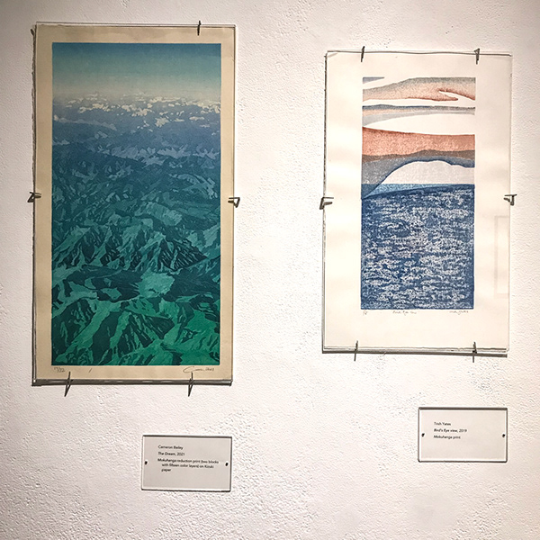 Cameron Bailey, The Dream